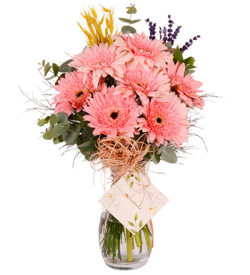 Gerbera Vazosu